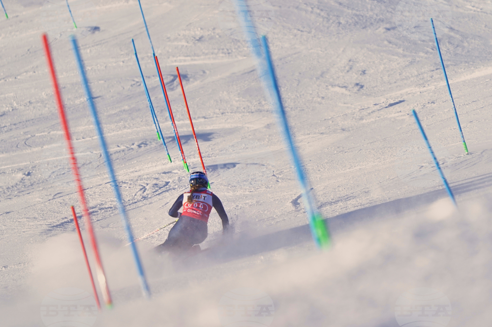 Austria Alpine Skiing World Cup