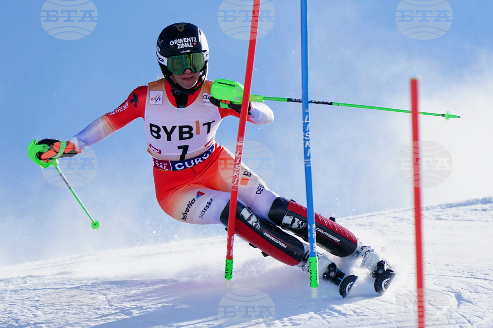 Austria Alpine Skiing World Cup
