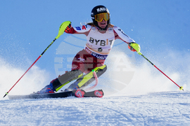 Austria Alpine Skiing World Cup