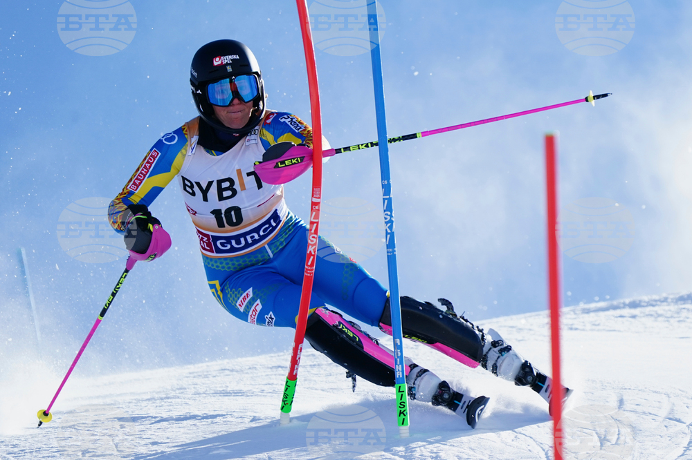 Austria Alpine Skiing World Cup