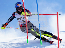Austria Alpine Skiing World Cup