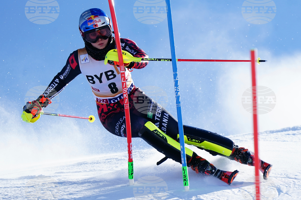Austria Alpine Skiing World Cup