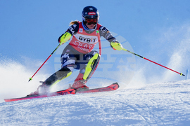 Austria Alpine Skiing World Cup