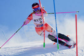 Austria Alpine Skiing World Cup