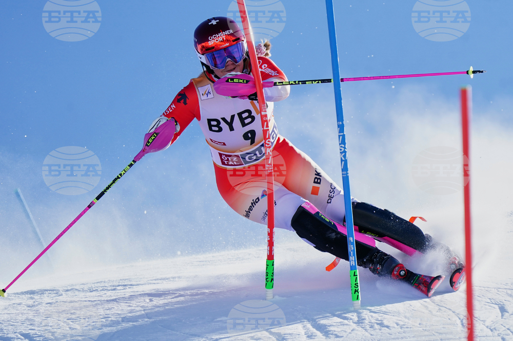 Austria Alpine Skiing World Cup