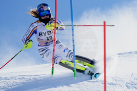Austria Alpine Skiing World Cup