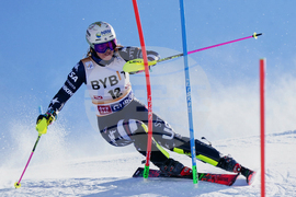 Austria Alpine Skiing World Cup