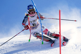 Austria Alpine Skiing World Cup
