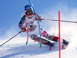 Austria Alpine Skiing World Cup