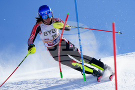 Austria Alpine Skiing World Cup