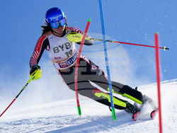 Austria Alpine Skiing World Cup