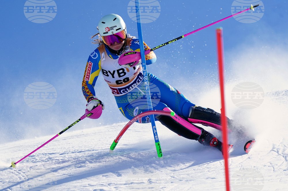 Austria Alpine Skiing World Cup