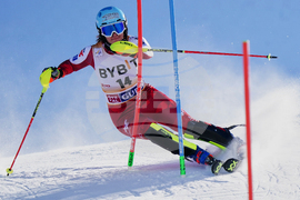 Austria Alpine Skiing World Cup