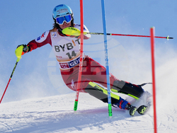 Austria Alpine Skiing World Cup