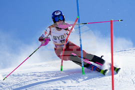 Austria Alpine Skiing World Cup