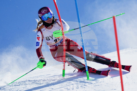 Austria Alpine Skiing World Cup