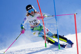 Austria Alpine Skiing World Cup