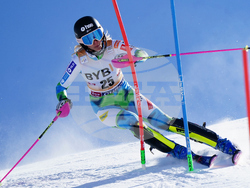 Austria Alpine Skiing World Cup