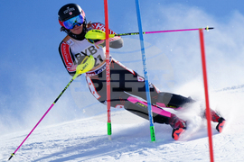 Austria Alpine Skiing World Cup