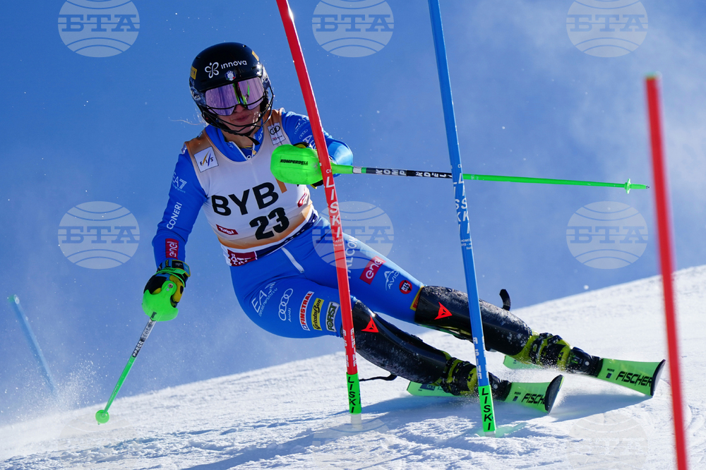 Austria Alpine Skiing World Cup