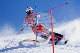 Austria Alpine Skiing World Cup