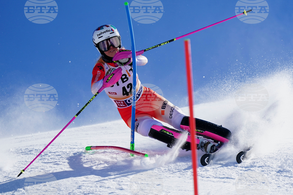 Austria Alpine Skiing World Cup
