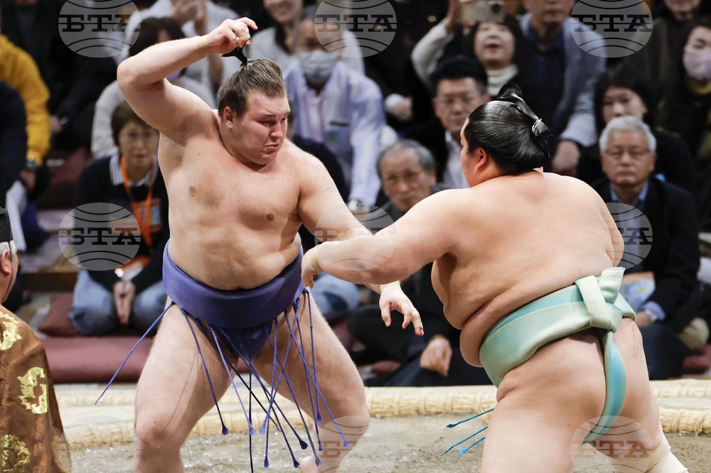 Japan Sumo