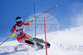 Austria Alpine Skiing World Cup