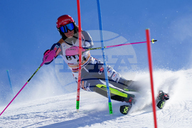 Austria Alpine Skiing World Cup