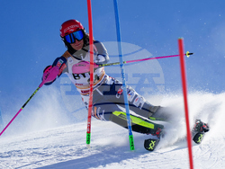 Austria Alpine Skiing World Cup