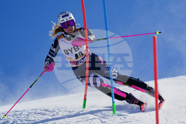 Austria Alpine Skiing World Cup