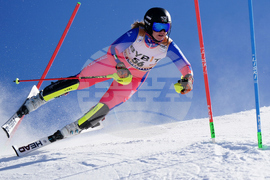 Austria Alpine Skiing World Cup