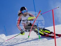 Austria Alpine Skiing World Cup
