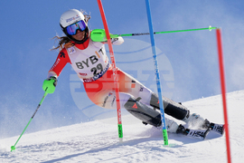 Austria Alpine Skiing World Cup