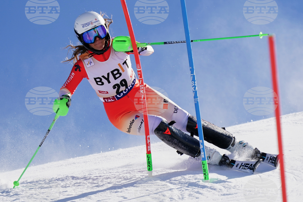 Austria Alpine Skiing World Cup