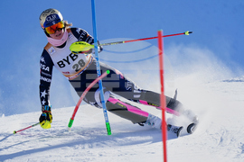 Austria Alpine Skiing World Cup