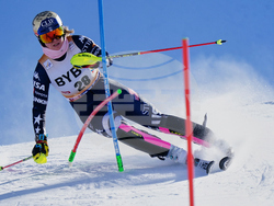 Austria Alpine Skiing World Cup