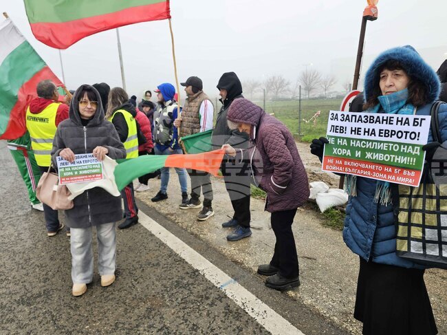 Русе - протест срещу еврото
