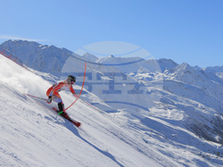 Austria Alpine Skiing World Cup