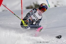 Austria Alpine Skiing World Cup