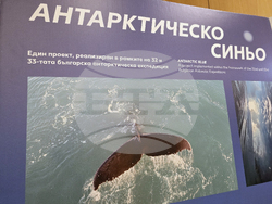 Банско - фестивал „Банско филм фест“