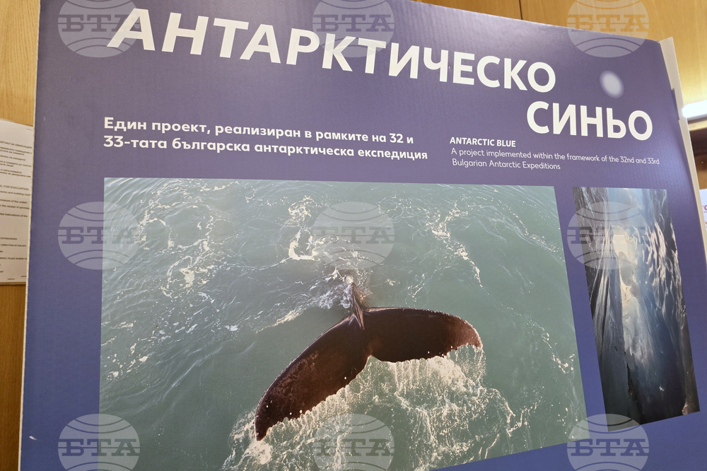 Банско - фестивал „Банско филм фест“