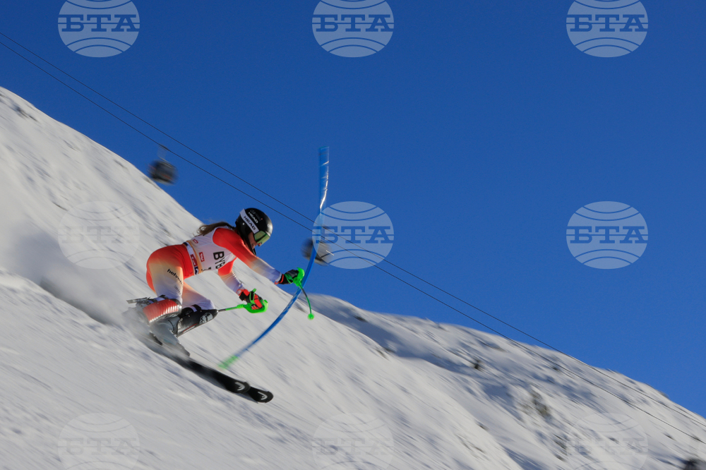Austria Alpine Skiing World Cup