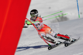 Austria Alpine Skiing World Cup