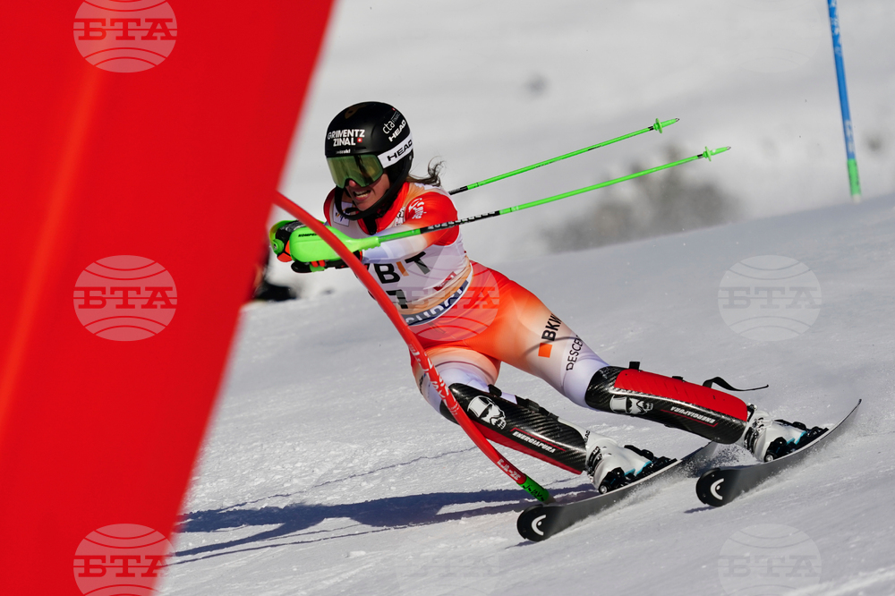 Austria Alpine Skiing World Cup