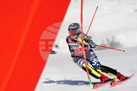 Austria Alpine Skiing World Cup