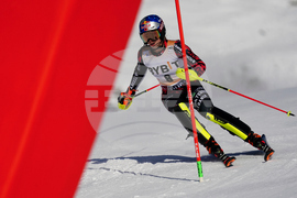 Austria Alpine Skiing World Cup