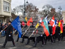 Lithuanian Armed Forces Day