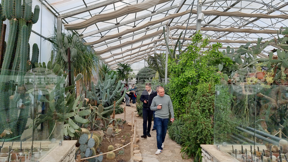 Балчик - „Двореца“ - „Посоки Турция“