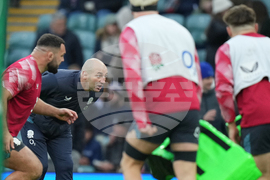 England Argentina Rugby